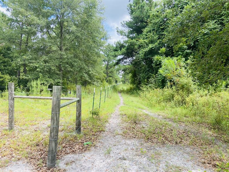 Sikes Place Tract 1 Land for Sale in Screven, Wayne County,