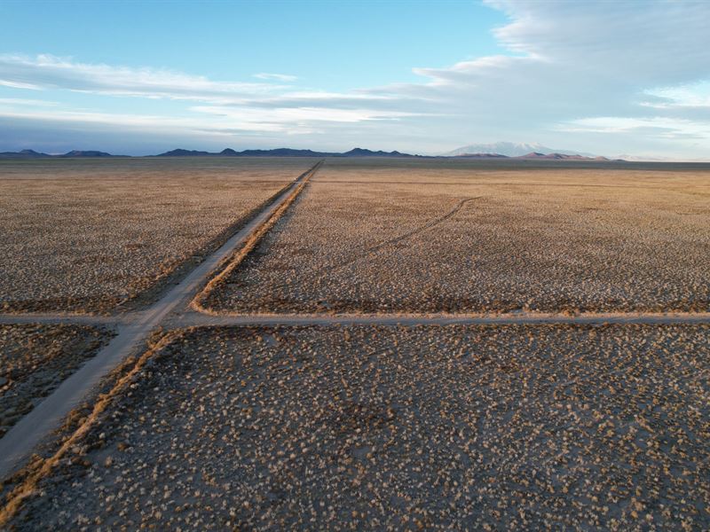5 Ac Costilla County Land, $99 Down : San Luis : Costilla County : Colorado