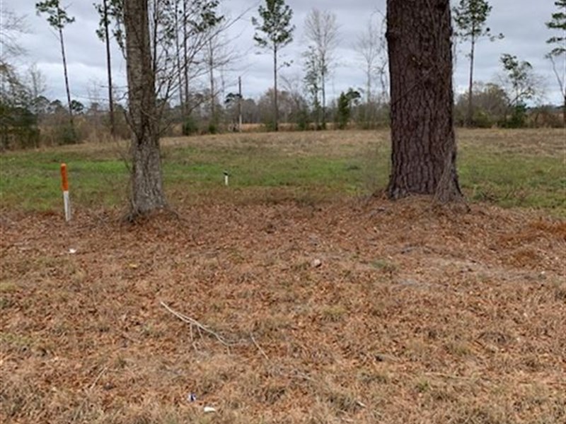 Hwy 24, Lot 1 : Centreville : Wilkinson County : Mississippi