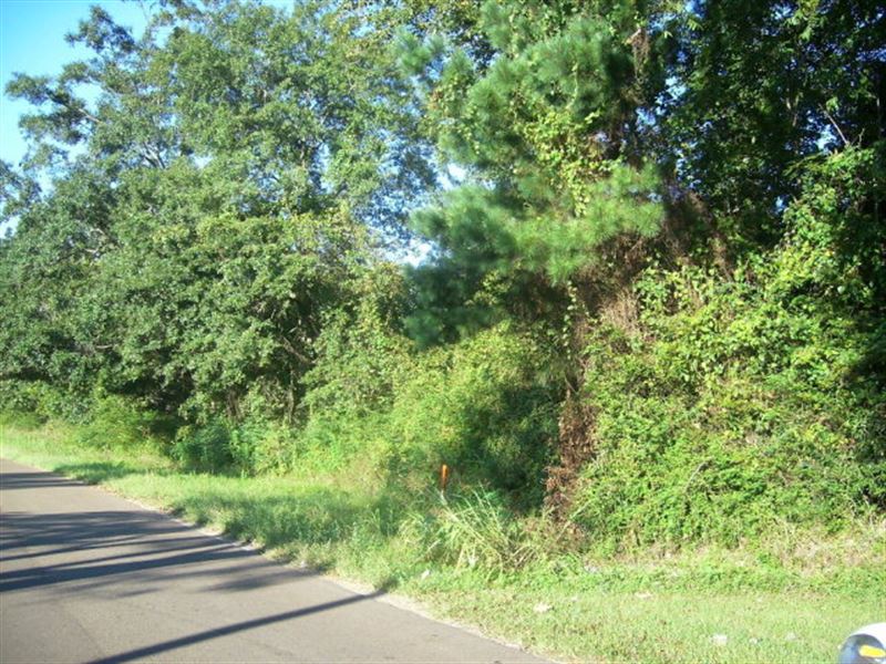 Hwy 33, Lot 6 : Centreville : Wilkinson County : Mississippi