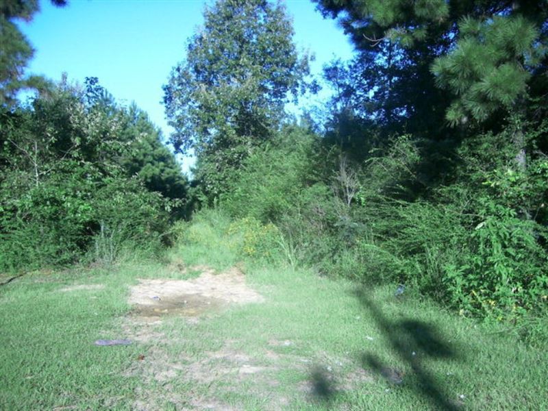 Hwy 33, Lot 7 : Centreville : Wilkinson County : Mississippi
