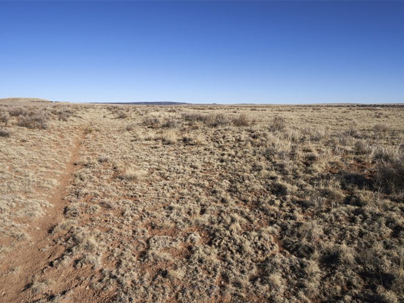 .83 Acre in Torrance County, NM : Moriarty : Torrance County : New Mexico