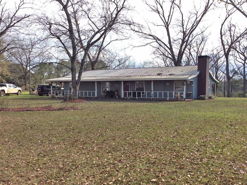 4 Ac in Rutledge, AL : Rutledge : Crenshaw County : Alabama