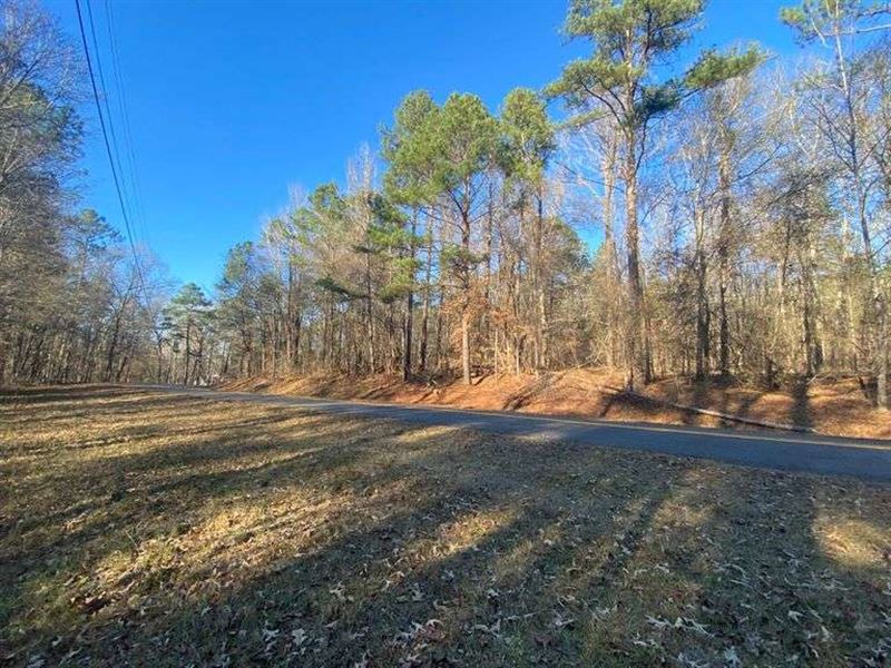 Vacant Residential Lot : Macon : Bibb County : Georgia