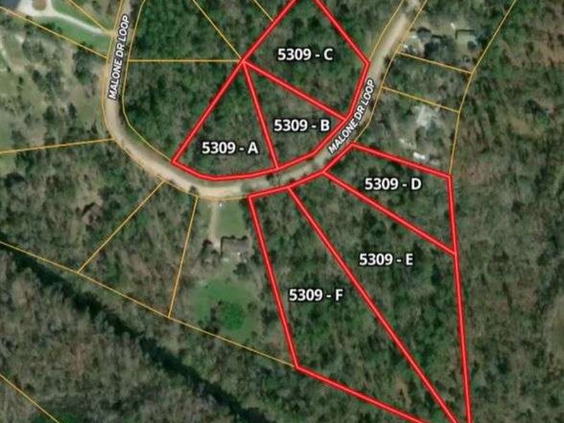 Lake Lots in Georgia : Donalsonville : Seminole County : Georgia