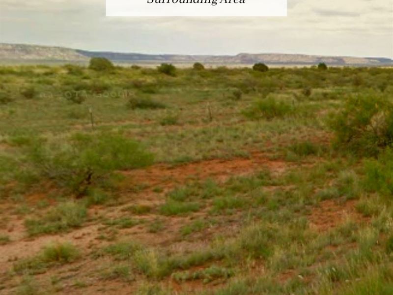 5.08 AC Only $1 Down, $199/Mo : Las Vegas : San Miguel County : New Mexico