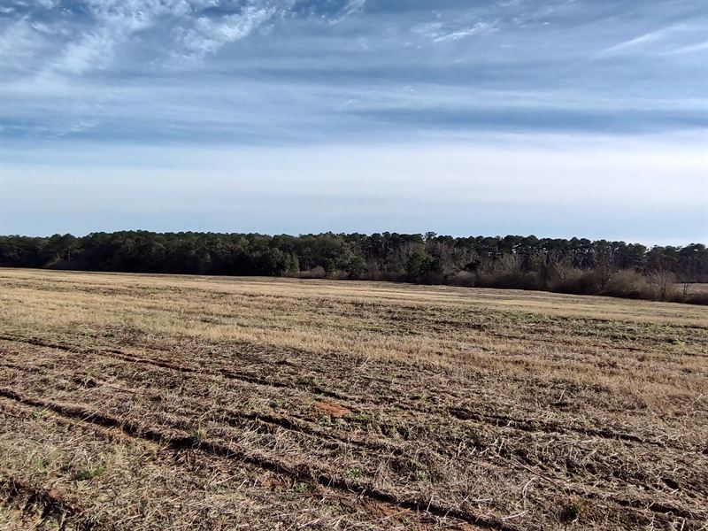 Golf Creek Farms, 15 Acres : Dothan : Houston County : Alabama