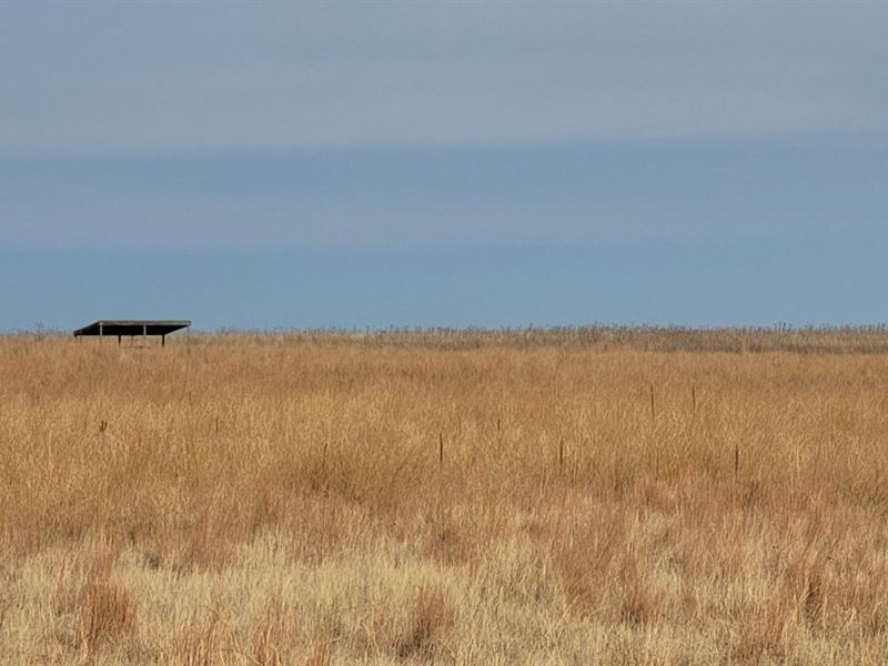 Lorenzo Crp : Lorenzo : Cheyenne County : Nebraska