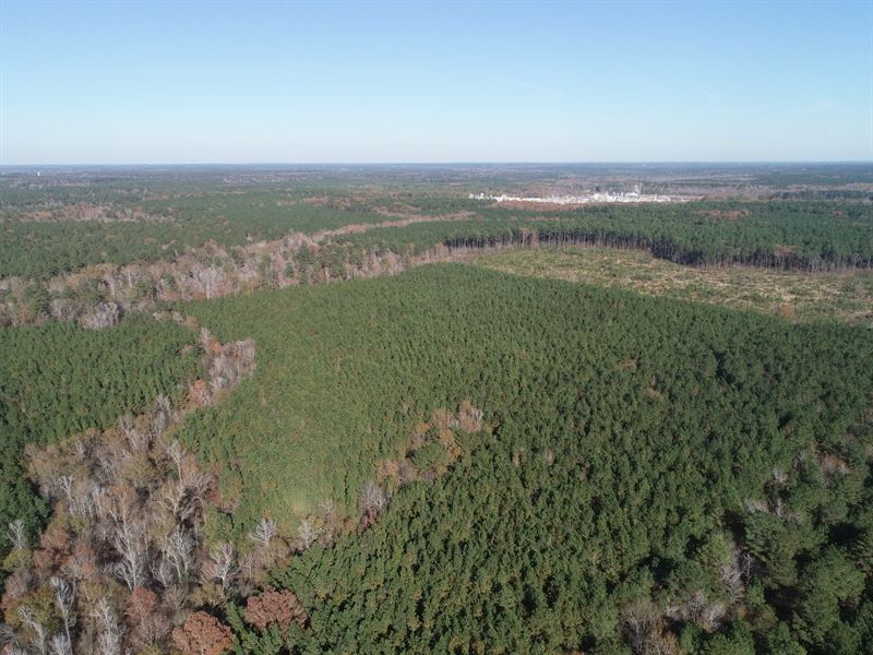 Evergreene Timberland : Magnolia : Columbia County : Arkansas