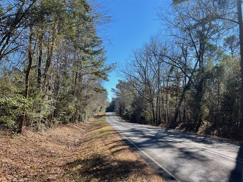 County Road 6 Tract South : Heidelberg : Jasper County : Mississippi