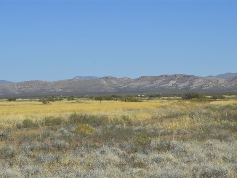 .6 Acres in Sweet Arizona : Douglas : Cochise County : Arizona