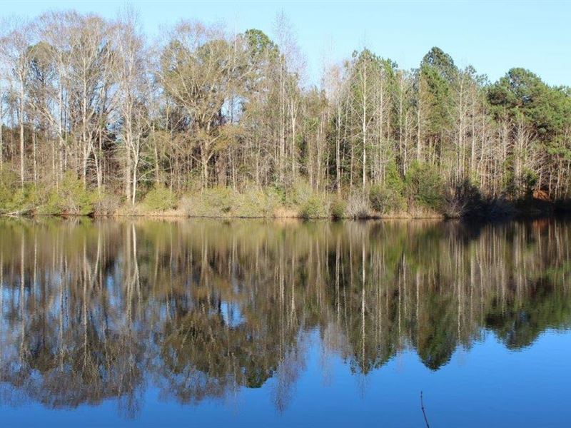 32 Acres Timbered Lot with Pond : Little Texas : Macon County : Alabama
