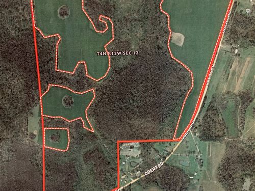 Farmland & Timberland : Cottondale : Jackson County : Florida