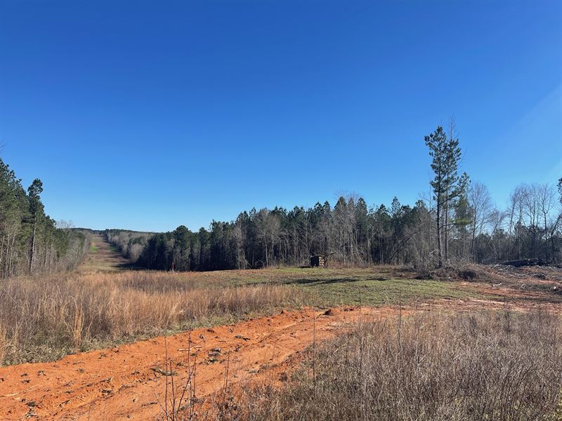 County Road 6 Tract East : Heidelburg : Jasper County : Mississippi