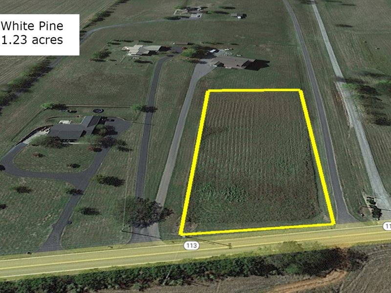 1.23 Ac, 5 Minutes to Douglas Lake : White Pine : Jefferson County : Tennessee