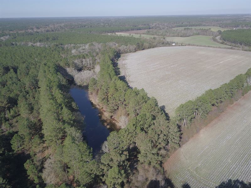Cropland & Homesites in 7 Tracts : Norman Park : Worth County : Georgia