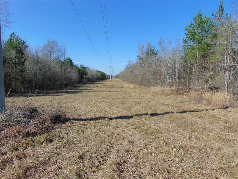 This Place Has it All : Braxton : Simpson County : Mississippi