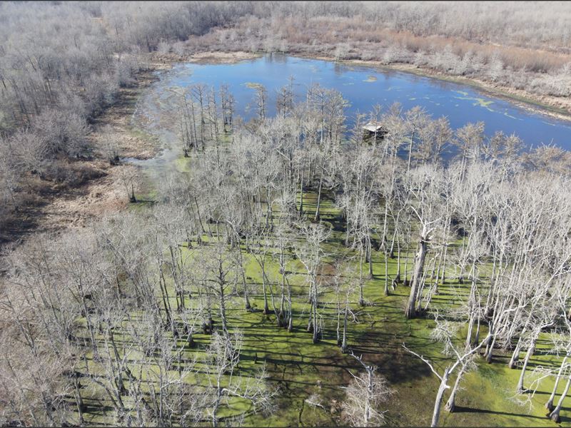 485.93 Acres in Holmes County in Tc : Tchula : Holmes County : Mississippi