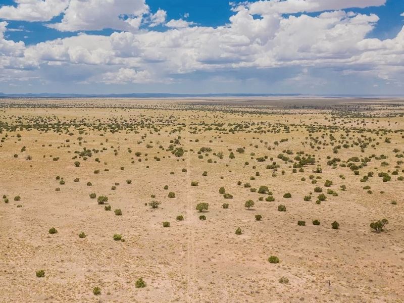 2.5 Acres of Clean Air and Camping : Williams : Coconino County : Arizona