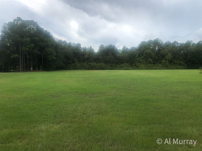 Homesite in Pierce County, GA : Blackshear : Pierce County : Georgia