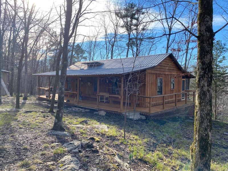 Cabin and 1 Acre, Colbert Co, AL : Tuscumbia : Colbert County : Alabama
