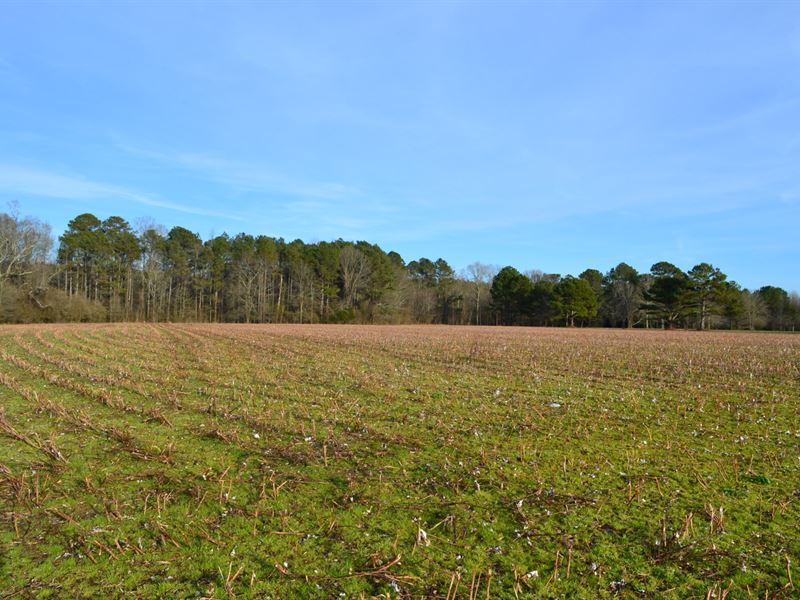 10 Ac. Mini Farm Centre, AL : Centre : Cherokee County : Alabama