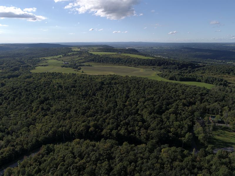 Building Lot with a Stream : Herkimer : Herkimer County : New York
