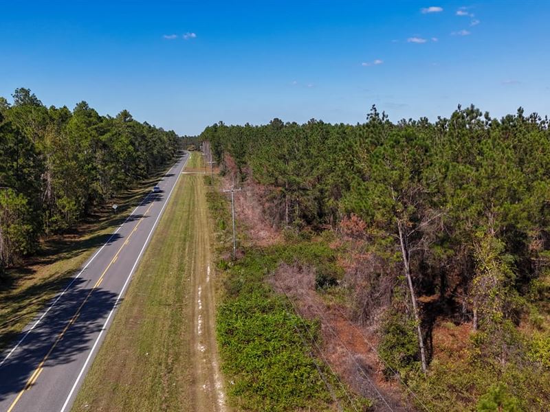 Hurricane Creek Tract : Alma : Bacon County : Georgia