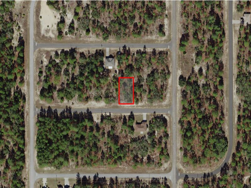 Citrus County Lot with Public Water : Citrus Springs : Citrus County : Florida