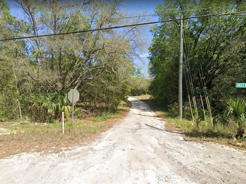 Quiet and Lovely Lot in Inverness : Inverness : Citrus County : Florida