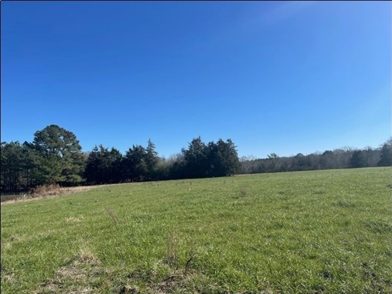 90 Acres in Leake County in Carthag : Carthage : Leake County : Mississippi