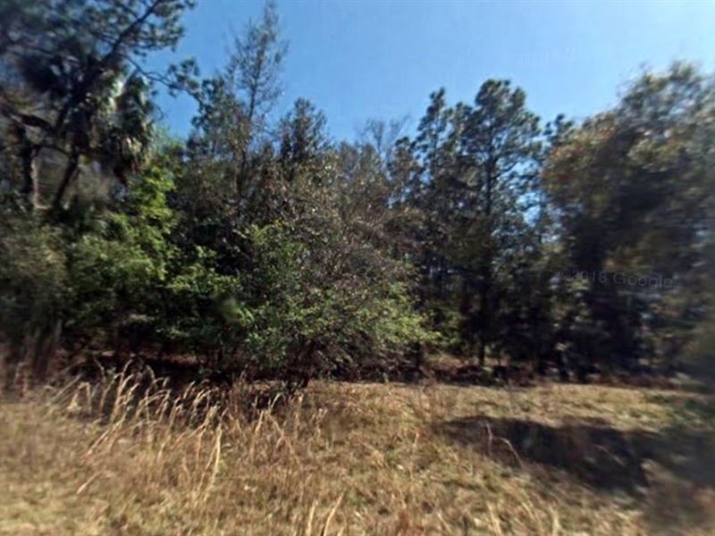 Double Lot Package with Two Deeds : Inverness : Citrus County : Florida