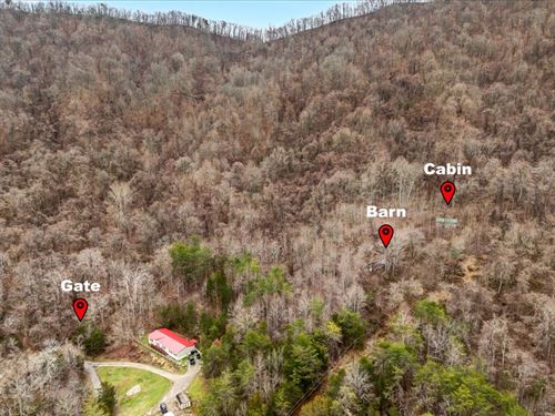 31+ Acres with Cabin : Thorn Hill : Grainger County : Tennessee