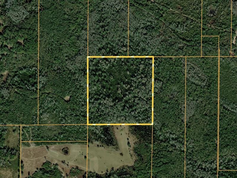 Worthington 40 : Greenville : Madison County : Florida