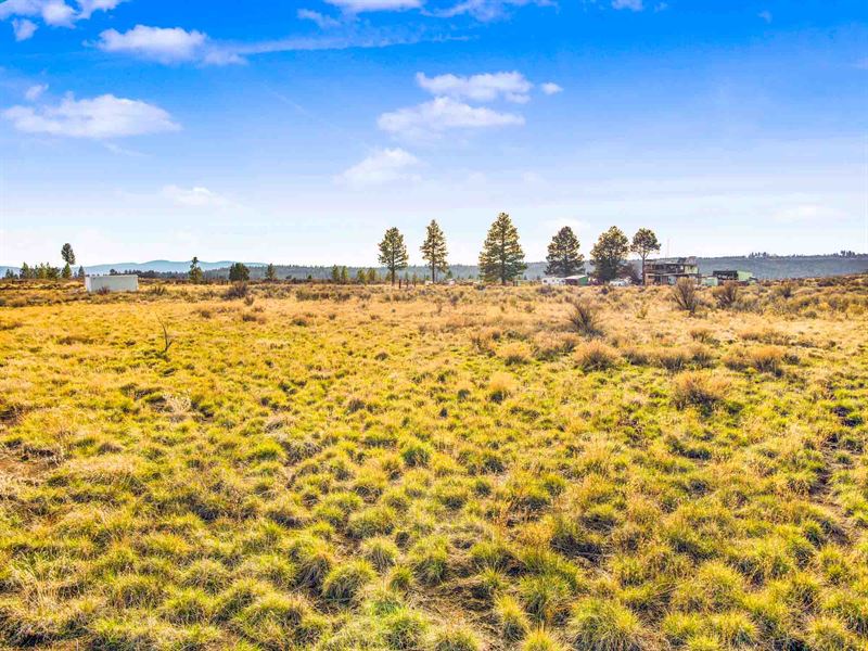 Flat Grassy 1.6 Acres : Chiloquin : Klamath County : Oregon