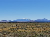 Untouched Acre, Valle, AZ : Williams : Coconino County : Arizona