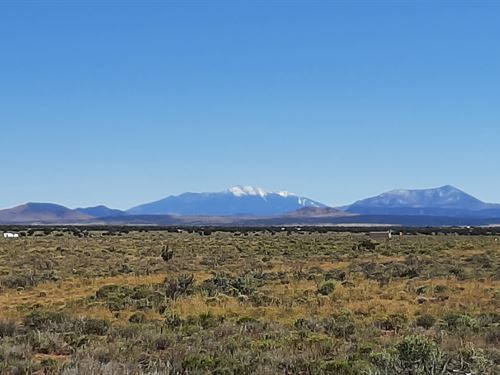 Untouched Acre, Valle, AZ : Williams : Coconino County : Arizona