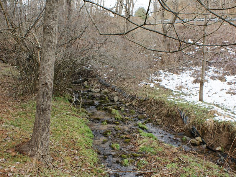 Secluded, Wooded Tract with Stream : Elk Creek : Grayson County : Virginia