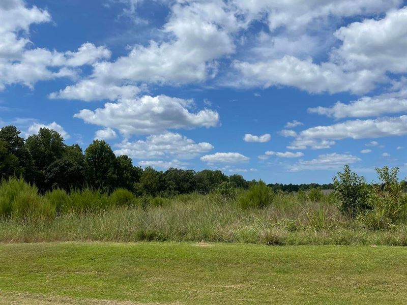 Land for Sale in Bath, NC : Bath : Beaufort County : North Carolina