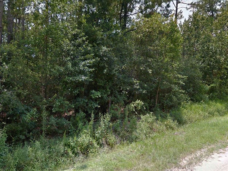 .26 Acre in Hancock County, MS : Piketown : Hancock County : Mississippi