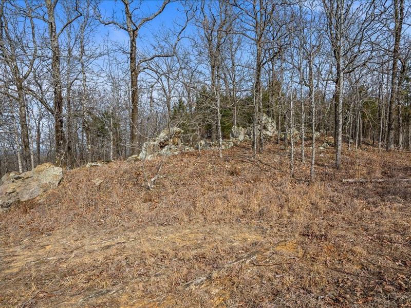 Ridgetop Retreat 40 : Fort Smith : Sebastian County : Arkansas