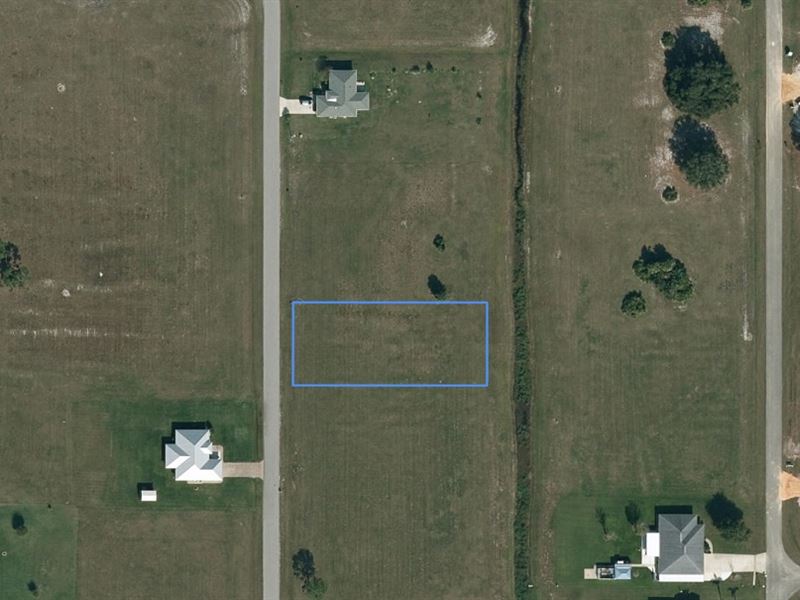 Get Into Growing Community : Sebring : Highlands County : Florida