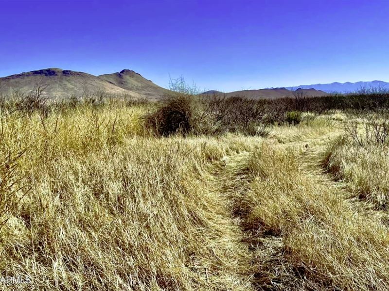 Bring Animals, Harvest, Build : Sunsites : Cochise County : Arizona