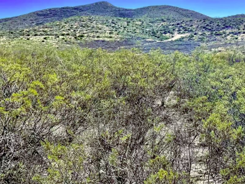 Water Well Share & Mtn Views, 9 Ac : Bisbee : Cochise County : Arizona