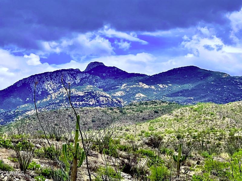 Rincon Peak 14+ Ac, Stunning Beauty : Vail : Pima County : Arizona