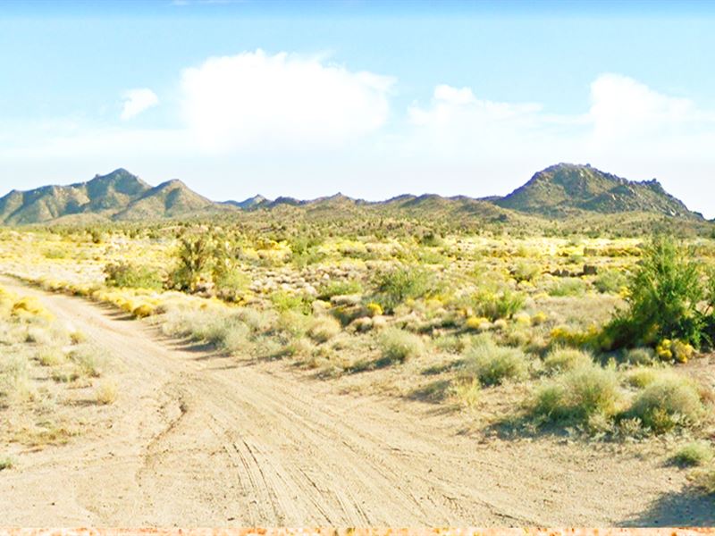$79 Down, 1.26 Acre Lot in AZ : Hackberry : Mohave County : Arizona