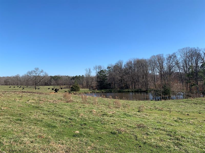 Meadow Oaks Farm : Lexington : Oglethorpe County : Georgia