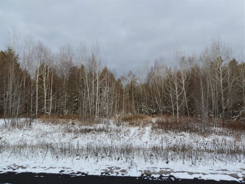 7 AC Parcel West of Minocqua : Minocqua : Oneida County : Wisconsin