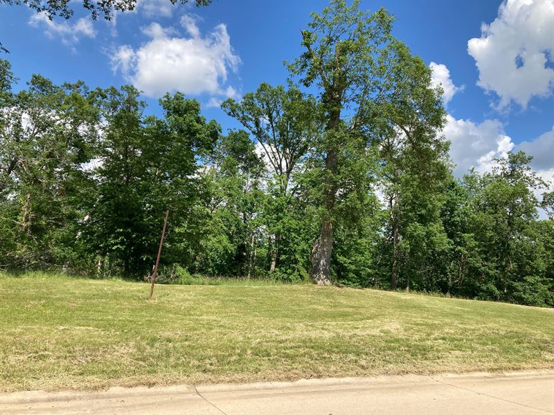2 Acres in a Gorgeous Neighborhood : Cedar Rapids : Linn County : Iowa
