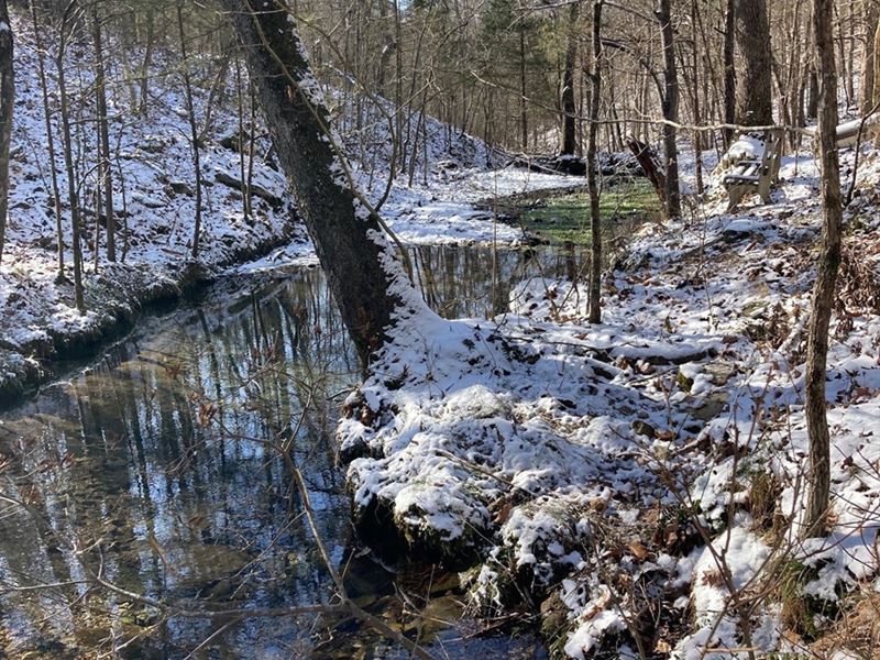 Wooded Land with Spring for Sale : Drury : Douglas County : Missouri